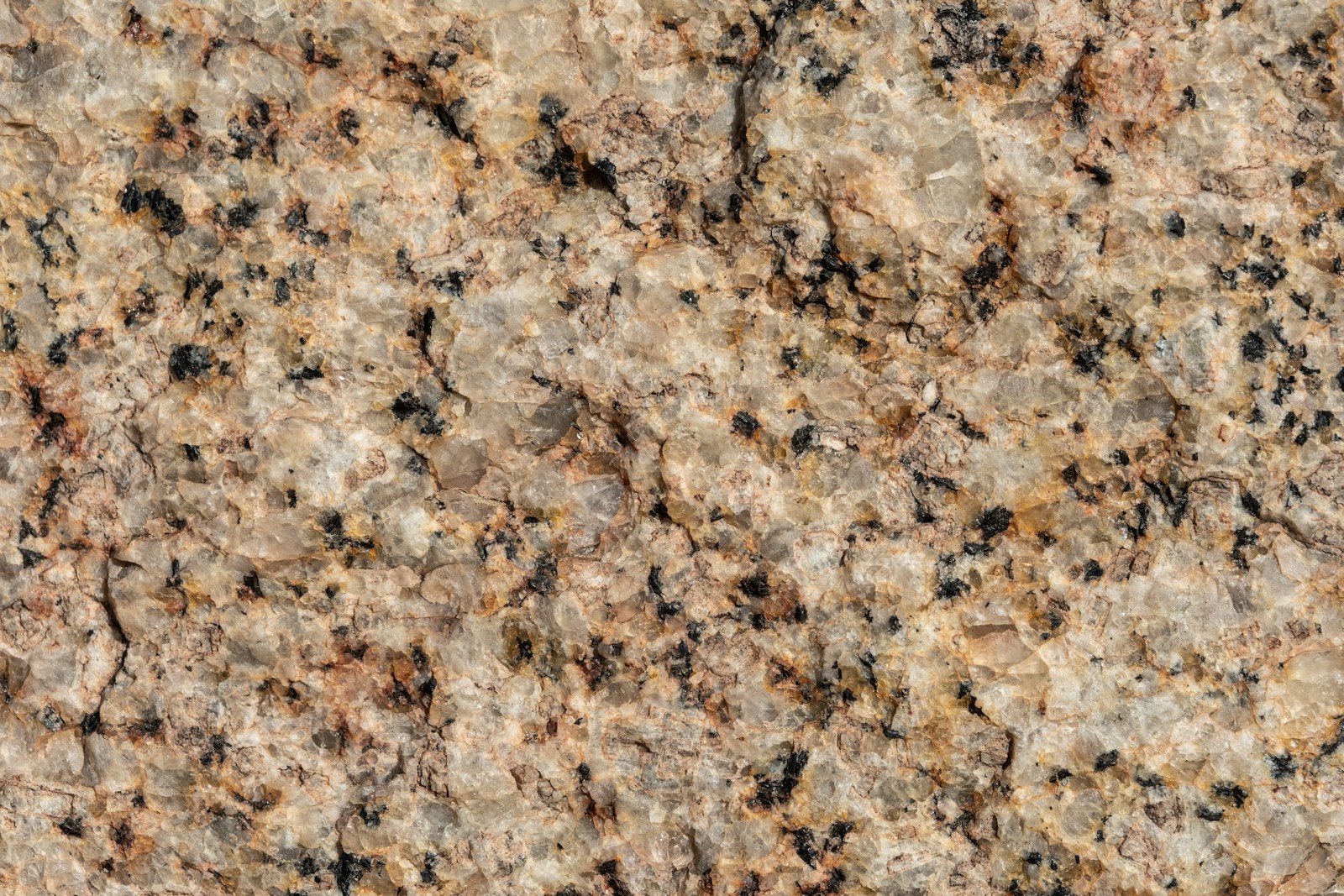 Close-up of a granite countertop surface where a stain can form